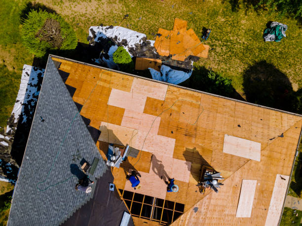 Best Roof Repair Services  in Tutwiler, MS
